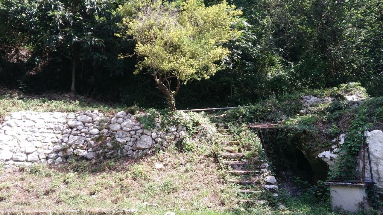 Terrazza Sul Borgo Villa Venzone Dış mekan fotoğraf